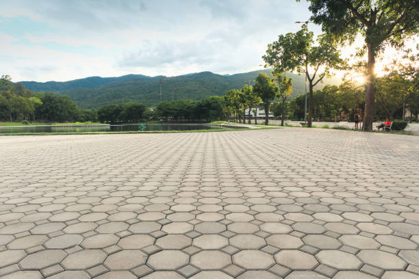 Best Residential Paver Driveway  in Smithers, WV